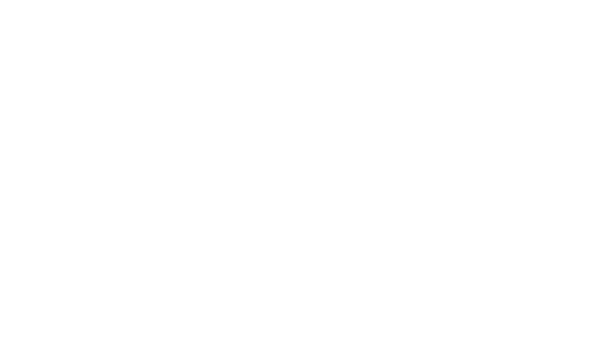 Distribuidora El Faro